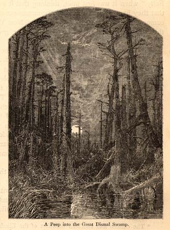 Swamps, Squash, Slavery