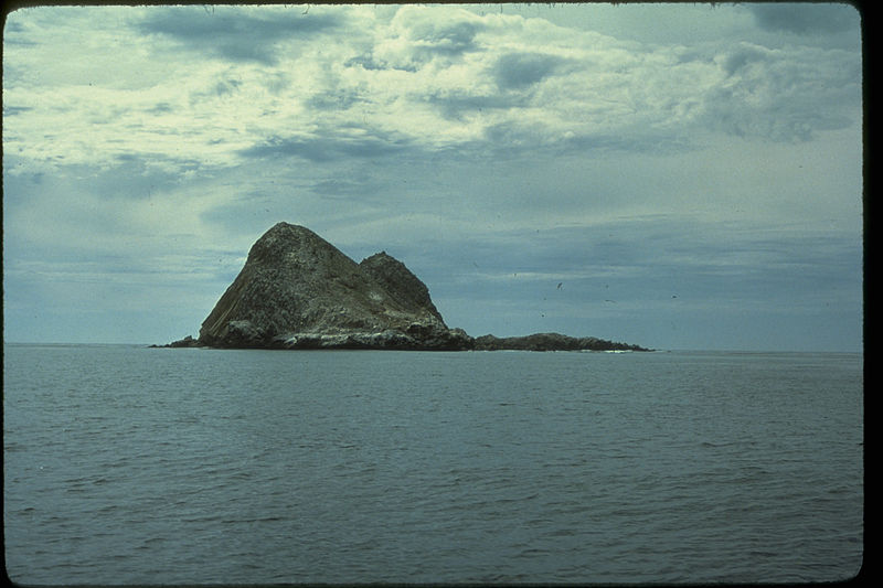 Isla Vista: Two Essays