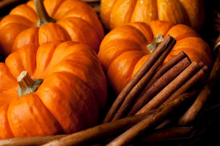 This Fall’s 21 Best Pumpkin Spice Think Pieces, Ranked