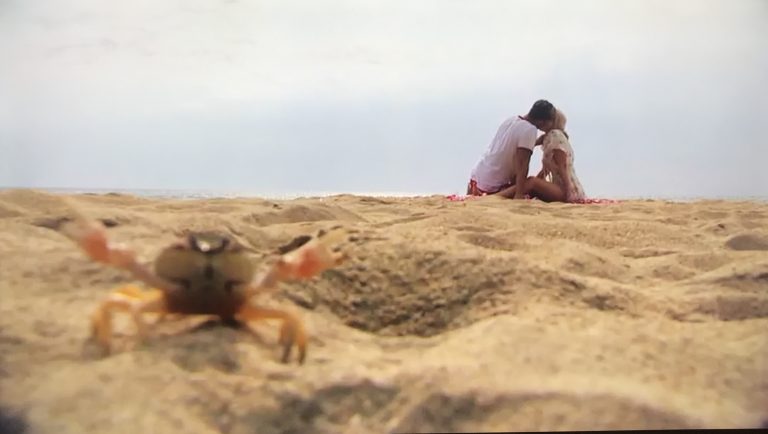 Animal Attraction: The Ridiculous Realism of Bachelor in Paradise